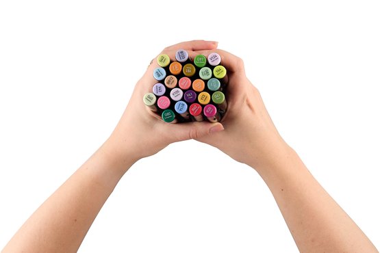 Набор маркеров для скетчинга Sketchmarker Brush Pro Botanical Set 24 цв. в картон.упак. - Скетчмаркеры в наборах