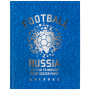 Дневник 5-11 класс 48 л., твердый, BRAUBERG, фольга, с подсказом, "Football", 106416 - Дневники для старших классов