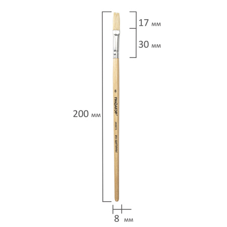 Кисть ПИФАГОР, ЩЕТИНА, плоская, № 8, деревянная лакированная ручка, пакет с подвесом, 200873 - Кисти для рисования