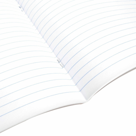 Тетрадь предметная "КОТ-ЭНТУЗИАСТ" 48 л., TWIN-лак, РУССКИЙ ЯЗЫК, линия, подсказ, BRAUBERG, 404565 - Тетради предметные