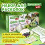 Набор для раскопок 12 видов динозавров, карточки, инструменты, развивающий, BRAUBERG KIDS, 664923 - Игрушки развивающие