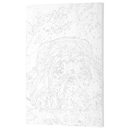 Картина по номерам 40х50 см, ОСТРОВ СОКРОВИЩ "Мечтай!", на подрамнике, акрил, кисти - Картины по номерам