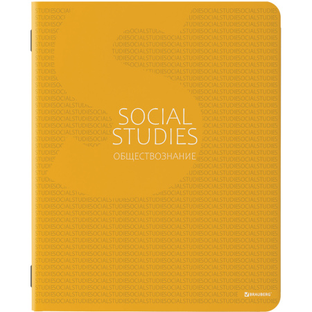 Тетради предметные, КОМПЛЕКТ 10 ПРЕДМЕТОВ, "COLOR", 48 листов, матовая ламинация, лак, BRAUBERG, 404029 - Тетради предметные