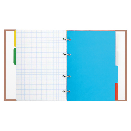 Тетрадь на кольцах А5 (175х215 мм), 240 листов, твердый картон, клетка, с разделителями, BRAUBERG, Cool Girl, 404100 - Тетради на кольцах и сменные блоки к ним