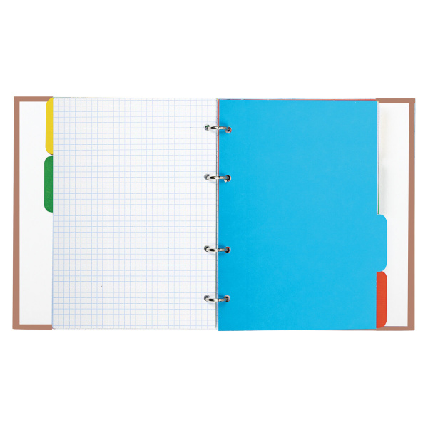 Тетрадь на кольцах А5 (175х215 мм), 240 листов, твердый картон, клетка, с разделителями, BRAUBERG, Cool Girl, 404100 - Тетради на кольцах и сменные блоки к ним