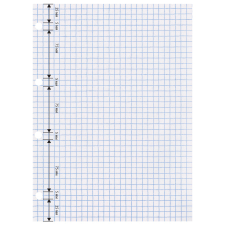 Сменный блок к тетради на кольцах БОЛЬШОГО ФОРМАТА А4, 120 л., BRAUBERG, Белый, 404518 - Тетради на кольцах и сменные блоки к ним
