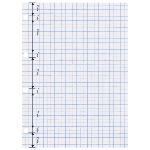 Сменный блок к тетради на кольцах БОЛЬШОГО ФОРМАТА А4, 120 л., BRAUBERG, Белый, 404518 - Тетради на кольцах и сменные блоки к ним