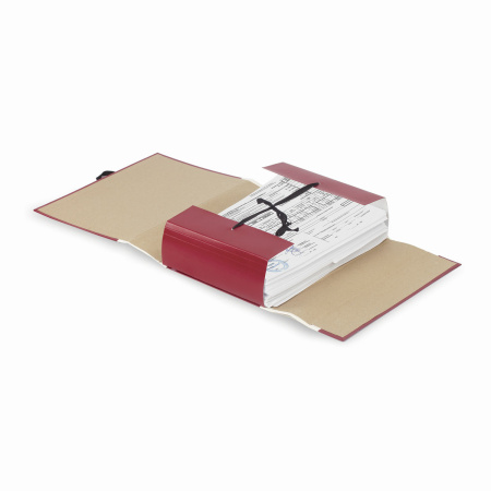 Папка для бумаг архивная А4 (225х310 мм), 80 мм, 4 завязки, бумвинил, корешок - коленкор, 123200 - Папки картонные с завязками