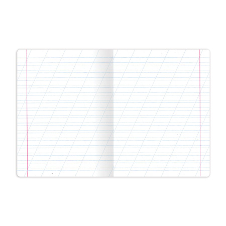 Тетрадь 12 л. BRAUBERG "КЛАССИКА NEW", косая линия, обложка картон, ЗЕЛЕНАЯ, 10568, 105688 - Тетради 12-24 листов