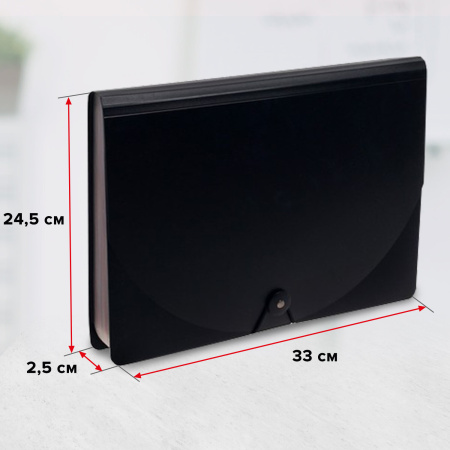 Папка-органайзер для бумаг и документов на резинке, 13 отделений, BRAUBERG DOCS, А4, черная, 271152 - Папки пластиковые с отделениями