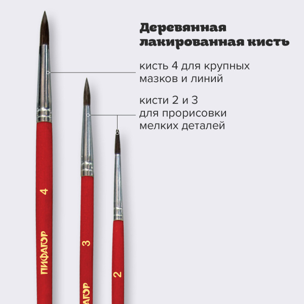 Кисти ПИФАГОР, набор 3 шт. (ПОНИ: круглые № 2, 3, 4), пакет с европодвесом, 200227 - Кисти для рисования