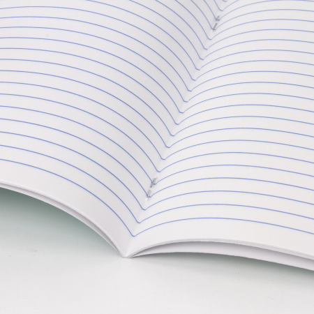 Тетрадь 18 л. BRAUBERG "ЭКО", линия, обложка плотная мелованная бумага, ЗЕЛЕНАЯ ПАСТЕЛЬНАЯ, 105677 - Тетради 12-24 листов