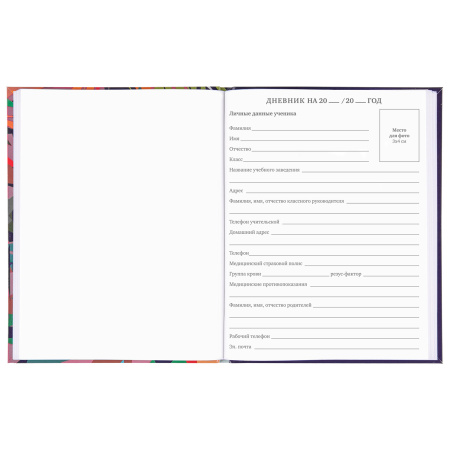 Дневник 5-11 класс 48 л., гибкая обложка, BRAUBERG, глянцевая ламинация, с подсказом, "Lion", 106386 - Дневники для старших классов