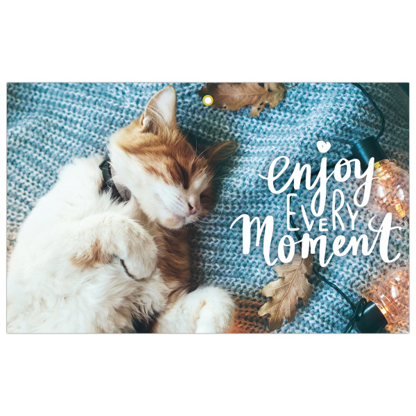 Календарь квартальный на 2024 г., 3 блока, 3 гребня, с бегунком, мелованная бумага, EXTRA, BRAUBERG, "Sleepy cat", 115303 - Календари настенные