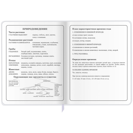 Дневник 1-4 класс 48 л., кожзам (гибкая), печать, фольга, ЮНЛАНДИЯ, "Лисёнок", 106216 - Дневники для младших классов