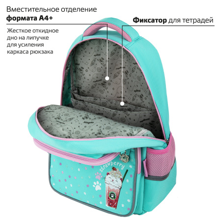 Рюкзак ЮНЛАНДИЯ COMPLETE, с пеналом в комплекте, эрго-спинка, "Yummy cat", 42х29х14 см - Рюкзаки для начальной и средней школы