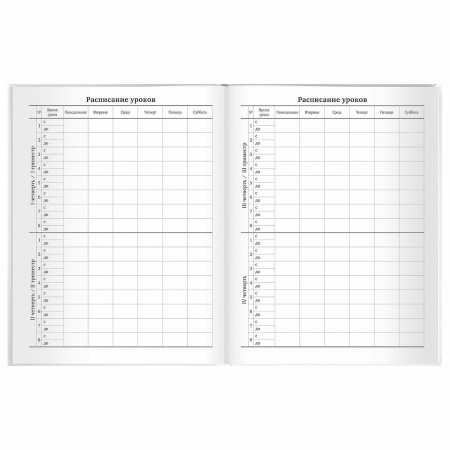 Дневник МП 1-11 класс 40 л., твердый, BRAUBERG, матовая ламинация, "Белый", 106641 - Дневники универсальные