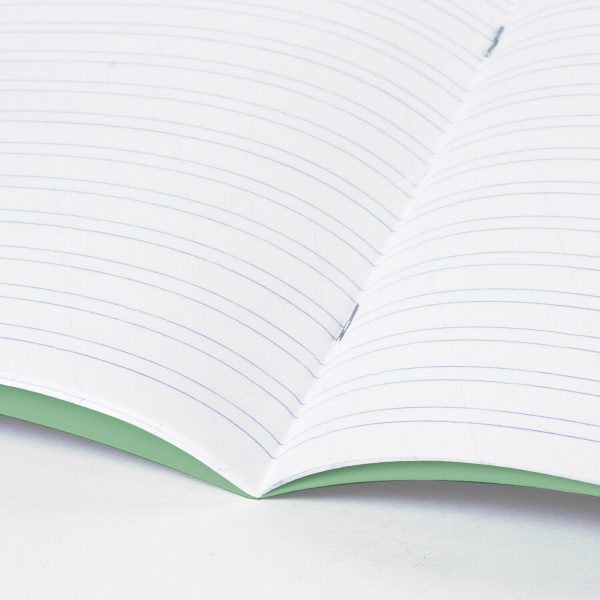 Тетрадь ВЕЛИКИЕ ИМЕНА. Крылов И.А., 12 л. узкая линия, плотная бумага 80 г/м2, обложка тонированный офсет, BRAUBERG, 105717 - Тетради 12-24 листов