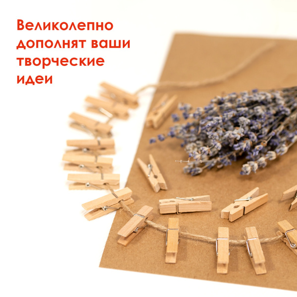 Прищепки декоративные "Классика", 20 штук, 3,5 см, дерево, ОСТРОВ СОКРОВИЩ, 661288 - Прищепки для творчества