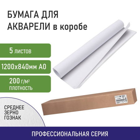 Бумага для акварели А0 (1200х840 мм), 5 листов, среднее зерно, 200 г/м2, ГОЗНАК, BRAUBERG ART CLASSIC, 114487 - Альбомы и бумага для акварели и масла