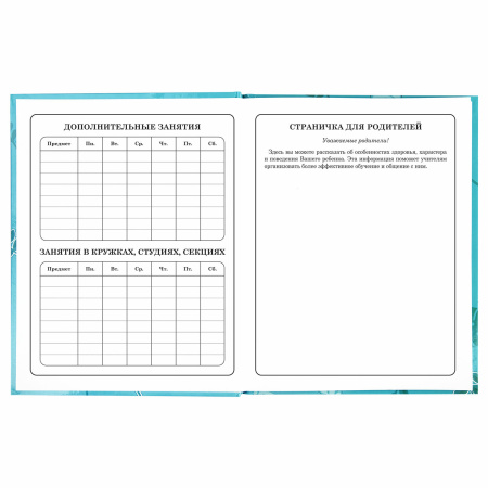 Дневник 1-4 класс 48 л., твердый, BRAUBERG, глянцевая ламинация, с подсказом, "Милые Коалы", 106358 - Дневники для младших классов