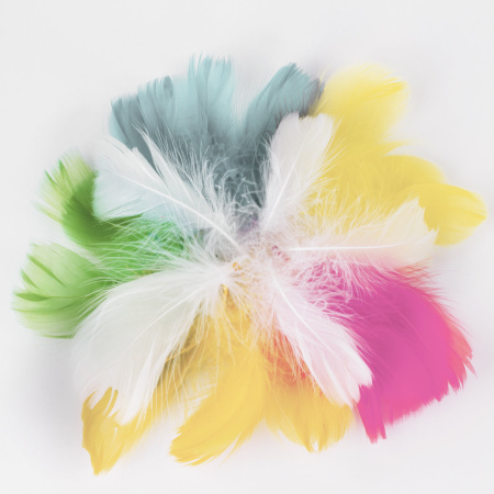 Перья декоративные "Карнавальные", 5-8 см, 24 шт., 6 цветов, пастель, ассорти, ОСТРОВ СОКРОВИЩ, 661377 - Перья для творчества
