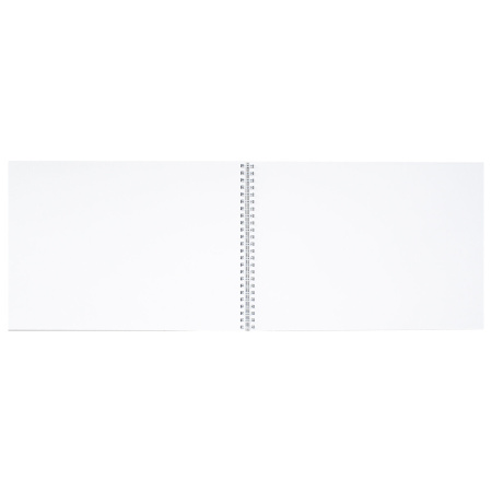 Альбом для рисования, А4, 48 л., гребень, обложка картон, BRAUBERG, 205х290 мм, "Летний пейзаж" (2 вида), 106328 - Альбомы и папки для рисования