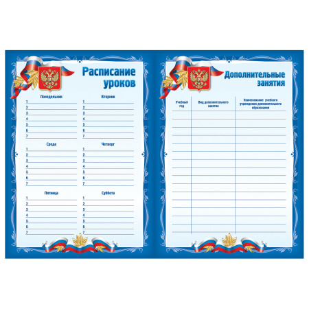 Листы-вкладыши для портфолио школьника, 30 разделов, 32 листа, "Я патриот", BRAUBERG, 126895 - Портфолио