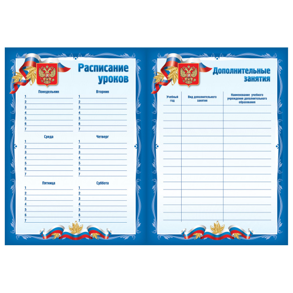 Листы-вкладыши для портфолио школьника, 30 разделов, 32 листа, "Я патриот", BRAUBERG, 126895 - Портфолио