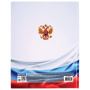 Дневник 1-11 класс 40 л., твердый, BRAUBERG, ламинация, цветная печать, "РОССИЙСКОГО ШКОЛЬНИКА-4", 106052 - Дневники для старших классов