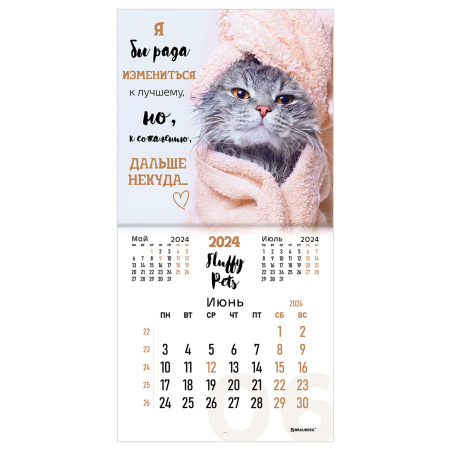 Календарь настенный перекидной на 2024 г., BRAUBERG, 12 листов, 29х29 см, "Кошечки", 115315 - Календари настенные