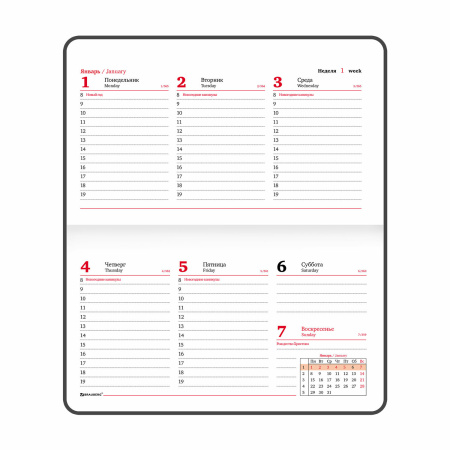 Еженедельник датированный 2024 МАЛЫЙ ФОРМАТ 95х155 мм А6, BRAUBERG "Vista", под кожу, Flowers, 115059 - Еженедельники