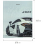 Дневник 5-11 класс 48 л., твердый, BRAUBERG, выборочный лак, с подсказом, "Super Car", 106634 - Дневники для старших классов
