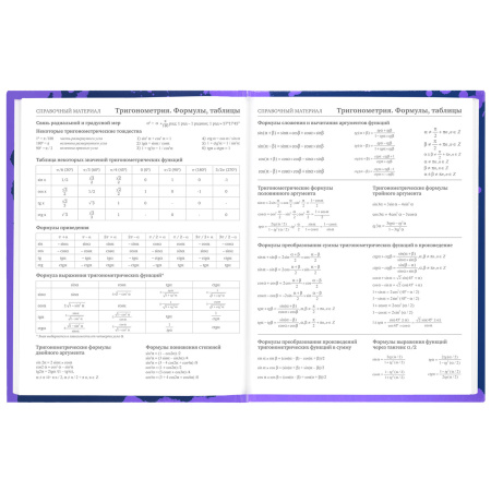 Дневник 5-11 класс 48 л., твердый, BRAUBERG, глянцевая ламинация, с подсказом, "Приставка", 106629 - Дневники для старших классов