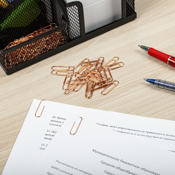 Скрепки BRAUBERG, 28 мм, омедненные, 100 шт., в картонной коробке, 270448 - Скрепки канцелярские