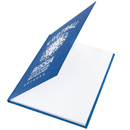 Дневник 5-11 класс 48 л., твердый, BRAUBERG, фольга, с подсказом, "Football", 106416 - Дневники для старших классов