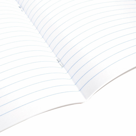 Тетрадь 12 л. BRAUBERG, линия, обложка картон, "ПРИНЦЕССА", 106470 - Тетради 12-24 листов