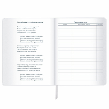 Дневник 1-11 класс 48 л., кожзам (гибкая), печать, фольга, BRAUBERG, "Insight", 106176 - Дневники универсальные