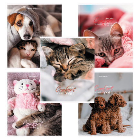 Тетрадь А5 48 л. BRAUBERG скоба, линия, обложка картон, "Питомцы" (микс в спайке), 404386 - Тетради 40-48 листов