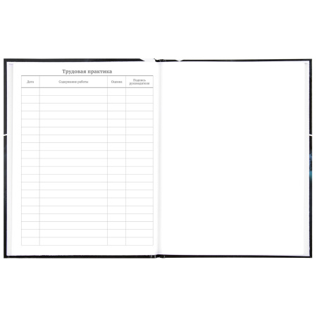 Дневник МП 1-11 класс 48 л., твердый, BRAUBERG, глянцевая ламинация, с подсказом, "Авто", 106645 - Дневники универсальные