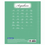 Тетрадь 24 л. BRAUBERG ЭКО "5-КА", линия, обложка плотная мелованная бумага, ЗЕЛЕНАЯ, 403004 - Тетради 12-24 листов