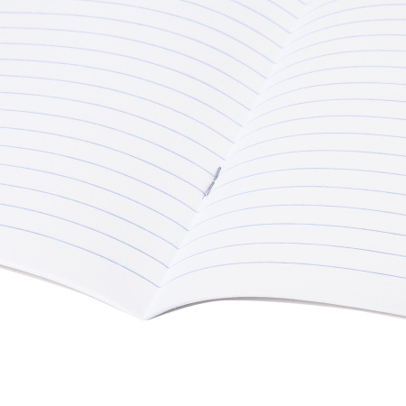 Тетради предметные, КОМПЛЕКТ 10 ПРЕДМЕТОВ, "COLLAGE", 48 листов, TWIN лак, BRAUBERG, 404030 - Тетради предметные