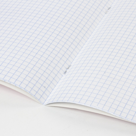 Тетрадь 18 л. BRAUBERG "ЭКО", клетка, обложка плотная мелованная бумага, ЗЕЛЕНАЯ ПАСТЕЛЬНАЯ, 105675 - Тетради 12-24 листов