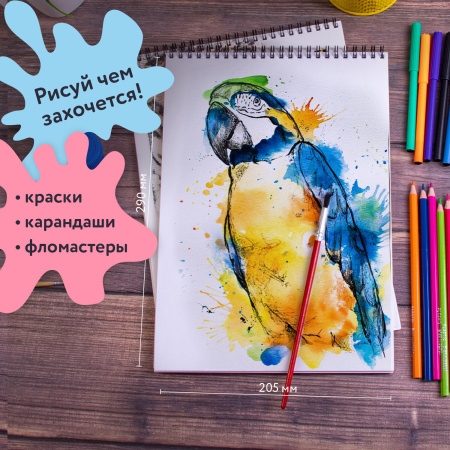 Альбомы для рисования А4 40 л., КОМПЛЕКТ 2 шт., гребень, обложка картон, BRAUBERG, 205х290 мм, "Хищники" (2 вида), 880028 - Альбомы и папки для рисования