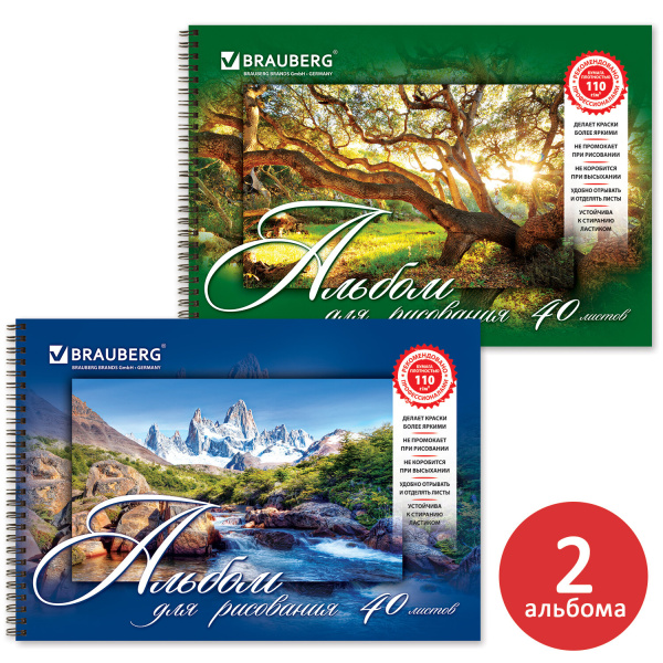 Альбомы для рисования А4 40 л., КОМПЛЕКТ 2 шт., гребень, обложка картон, BRAUBERG, 205х290 мм, "Природа" (2 вида), 880031