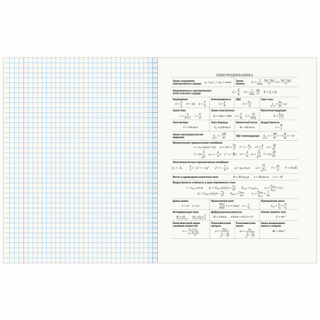 Тетрадь предметная со справочным материалом VISION 48 л., обложка картон, ФИЗИКА, клетка, BRAUBERG, 404259 - Тетради предметные