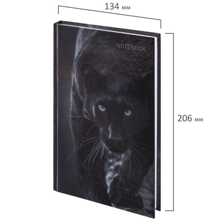 Блокнот А5 (134х206 мм), 96 л., твёрдый, клетка, STAFF, "Пантера", 114432 - Блокноты в книжном переплете