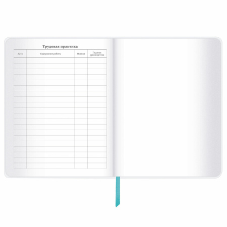 Дневник 1-11 класс 48 л., кожзам (гибкая), термотиснение, фольга, BRAUBERG, "Авокадо", 106167 - Дневники универсальные