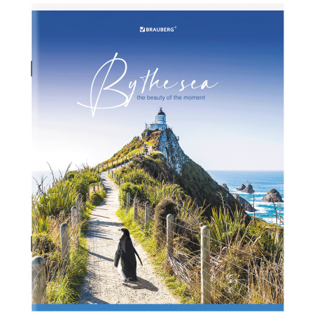 Тетрадь А5, 80 л., BRAUBERG, скоба, клетка, обложка картон, "By the Sea", 404410 - Тетради более 60 листов