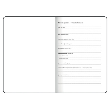 Ежедневник недатированный с резинкой А5 (145х203 мм), BRAUBERG, твердый, фольга, 128 л., "Almond", 114568 - Ежедневники с твердой обложкой